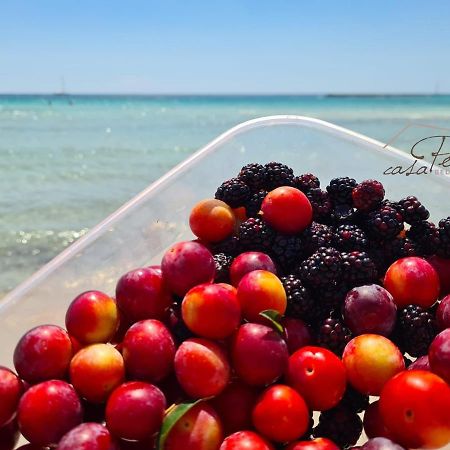 Casa Poesia Bed and Breakfast Torre San Giovanni Ugento Εξωτερικό φωτογραφία